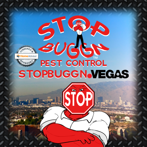 Stop Buggn Pest Control Las Vegas Launches NEW Website